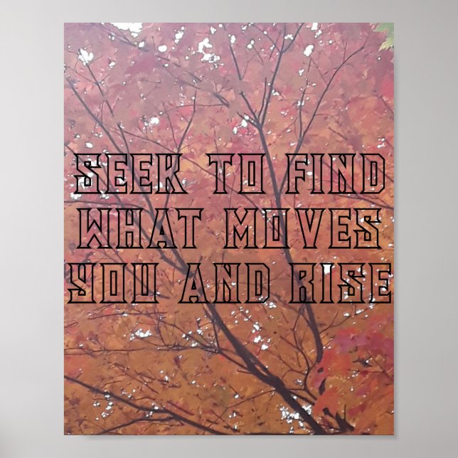 Affiche Papier d'affiche de valeur (Matte) (Devant)