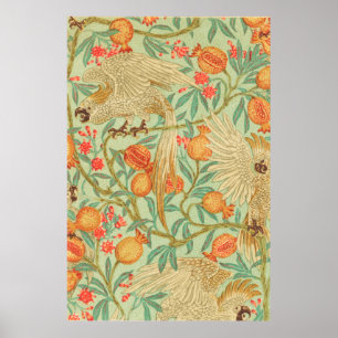 Affiche Papier d'antiquité Cockatoo et grenade