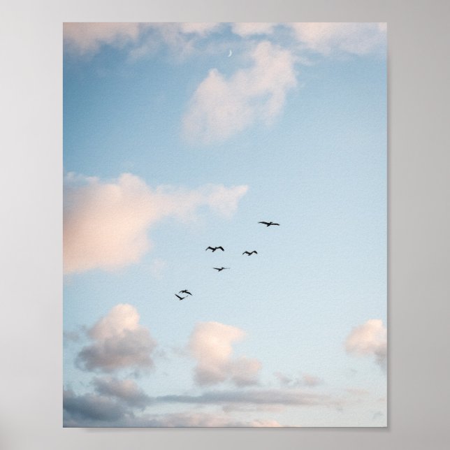 Affiche papier de coucher de soleil de pélican (se (Devant)
