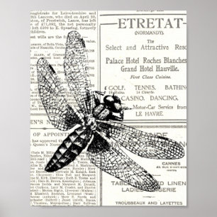Affiche Papier Journal Insecte Rétro Vintage Noir et Blanc