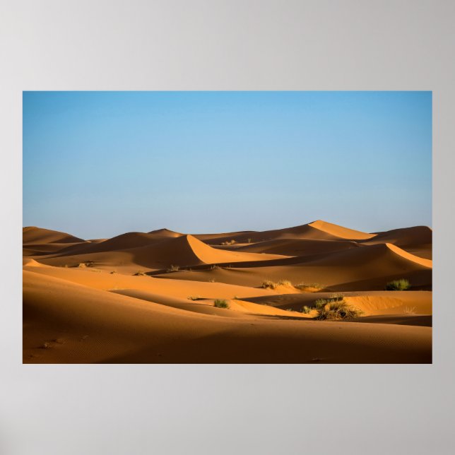 AFFICHE PAPIER MUR DESERT 3D (Devant)