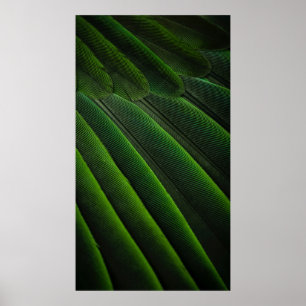 Affiche Papier peint 3D vert