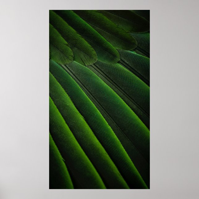 Affiche Papier peint 3D vert (Devant)
