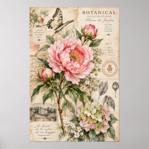 Affiche Papier Peint Fleur de Pivoine Rose Vintage Papillo