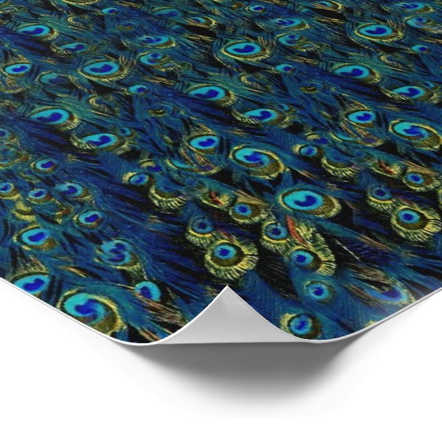 Affiche Papier peint vintage Pretty Peacock Bird Feaths (Coin)