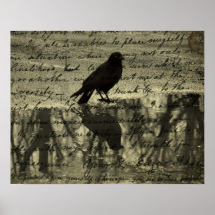 Affiche Papiers Crow Et Poe