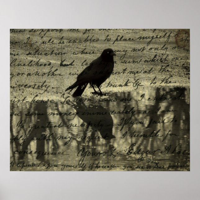 Affiche Papiers Crow Et Poe (Devant)