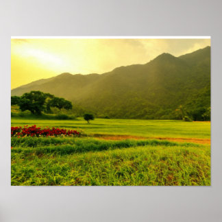 Affiche papiers peints naturels conçus pour toutes les cha