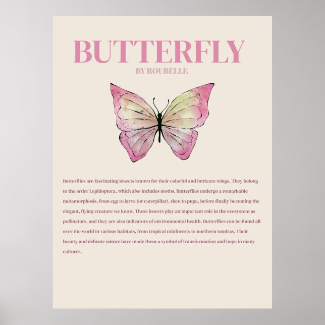Affiche Papillon (Devant)