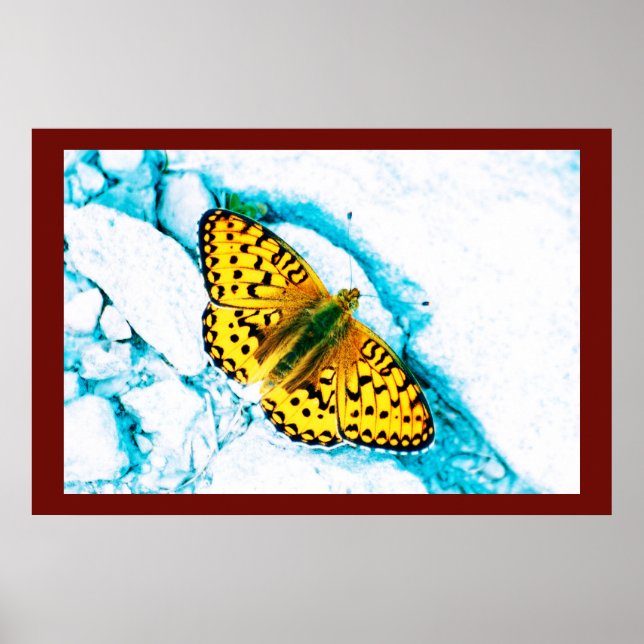 Affiche papillon 2 (Devant)