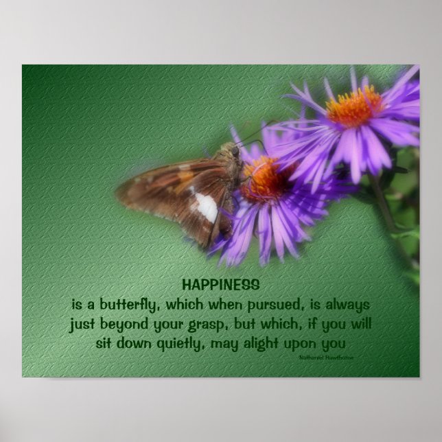 Affiche Papillon 5 Bonheur Citation Inspiration Nature (Devant)