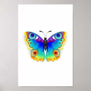 Affiche Papillon Arc-en-ciel Paon Yeux
