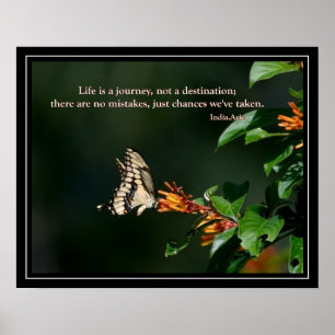 Affiche Papillon avec citation India Arie