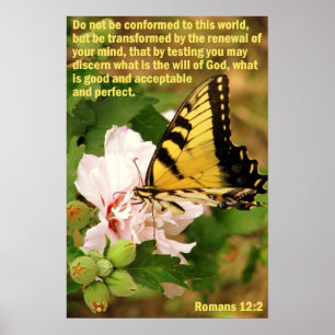 Affiche Papillon avec Romans 12:2