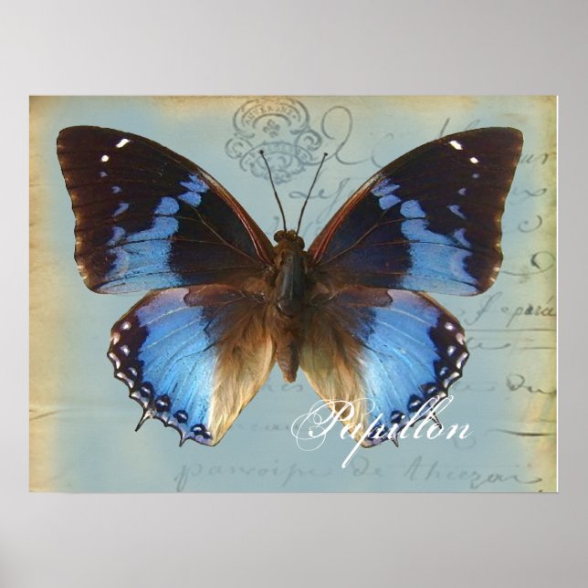 Affiche Papillon bleu (Devant)