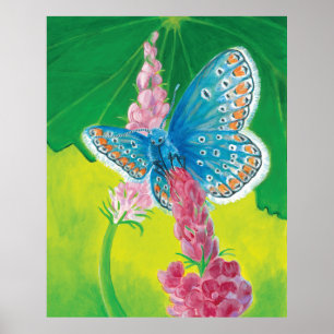 Affiche Papillon bleu de Chapmans (thersites en polyommatu