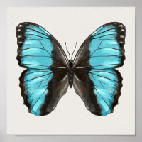 Papillon bleu Insect Art Amour de la nature