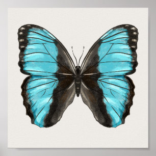 Affiche Papillon bleu Insect Art Amour de la nature