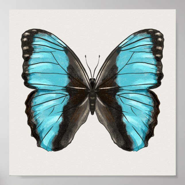 Affiche Papillon bleu Insect Art Amour de la nature (Devant)