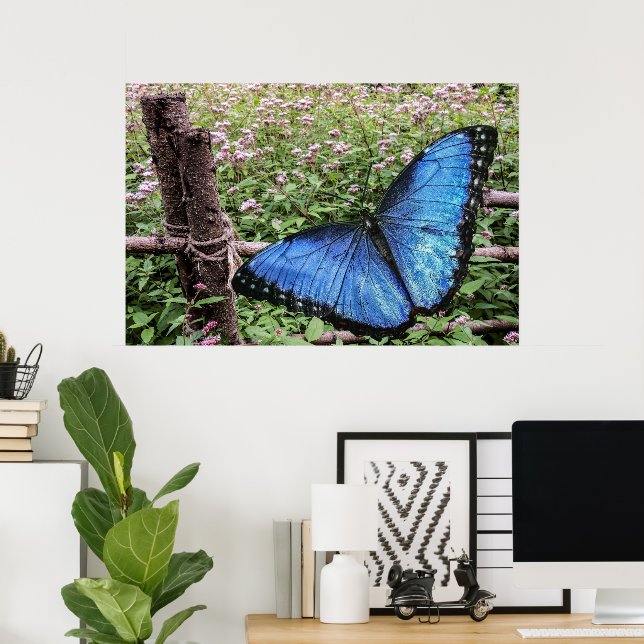 Affiche Papillon bleu Morpho Design rustique (Bureau à domicile)