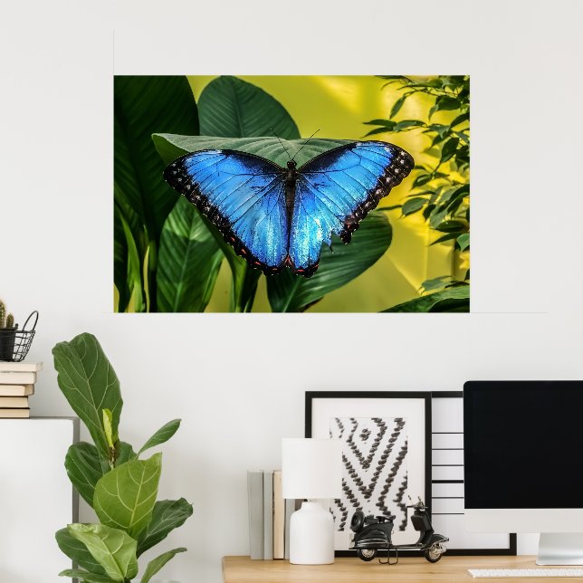 Affiche Papillon bleu Morpho Floral Nature Art (Bureau à domicile)