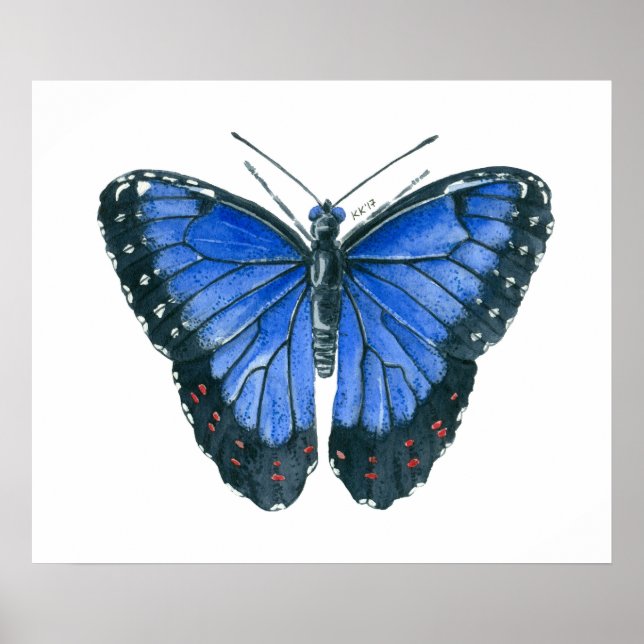 Affiche Papillon Blue Morpho peinture à l'aquarelle (Devant)