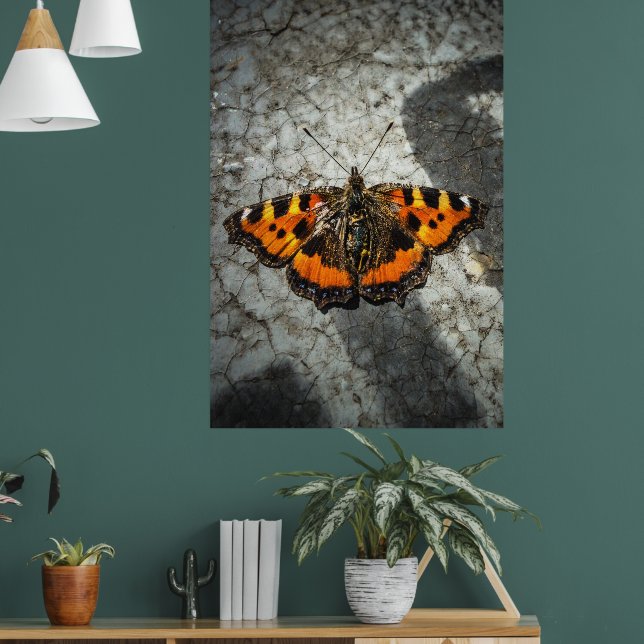 Affiche Papillon Carapace Photo Art Style Grunge (Salon 1)