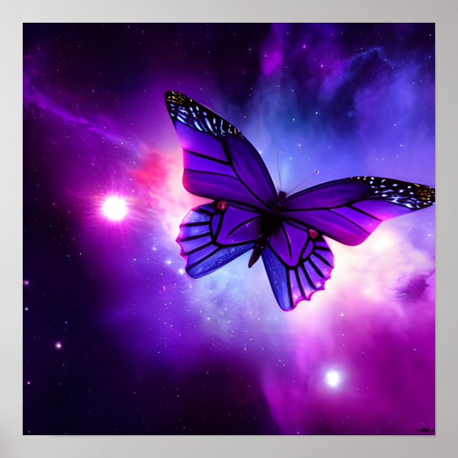 Affiche Papillon Ciel Violet (Devant)