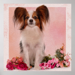 Affiche Papillon -Continental Toy Spaniel