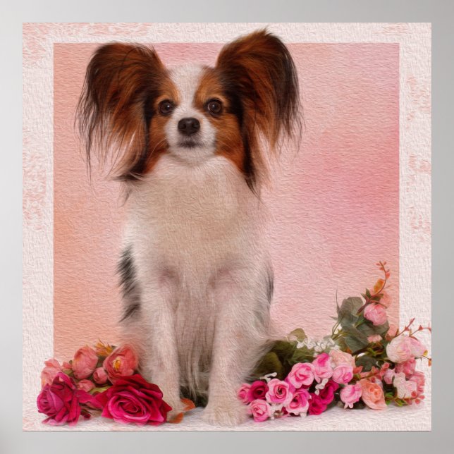 Affiche Papillon -Continental Toy Spaniel (Devant)
