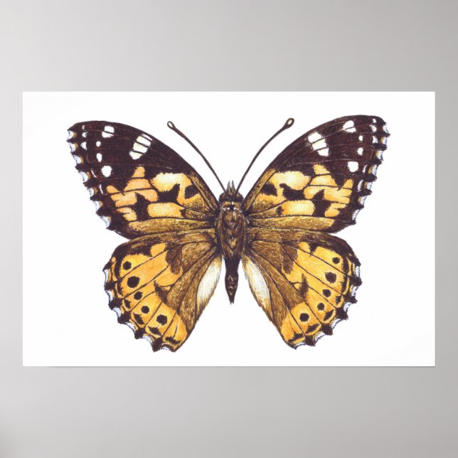 Affiche Papillon dame peinte (Devant)