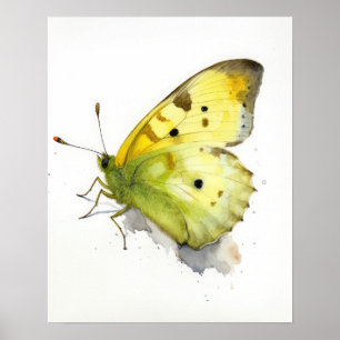Affiche Papillon d'art en soufre embouti
