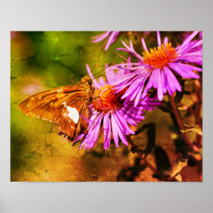 Affiche Papillon de la dame peint Fleur d'aster sauvage Ab