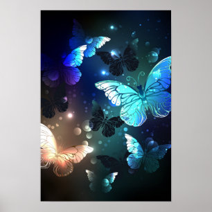 Affiche Papillon de nuit
