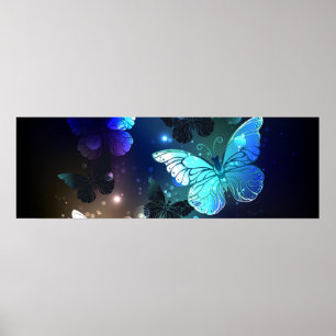 Affiche Papillon de nuit voltigeant