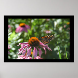 Affiche Papillon de parc de Como de lac
