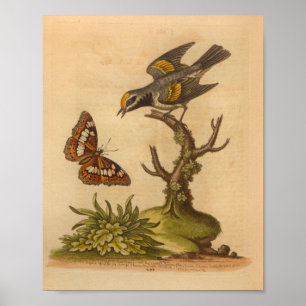 Affiche Papillon d'impression vintage jaune d'oiseau