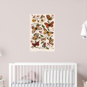 Affiche Papillon et papillon de nuit de Paul Gervais
