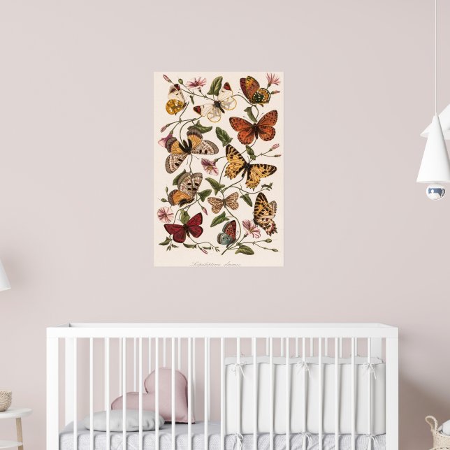Affiche Papillon et papillon de Paul Gervais (Pépinière 2)