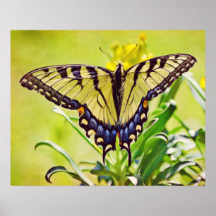 Affiche Papillon jaune - Art photographique Imprimer