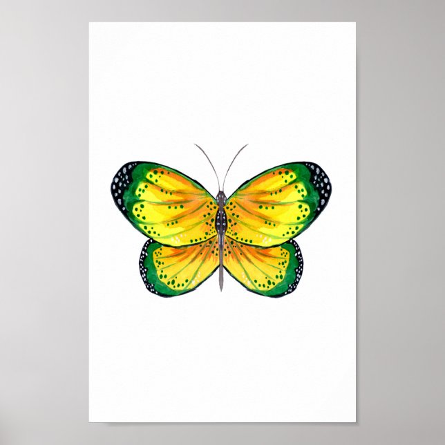 Affiche Papillon jaune et vert (Devant)