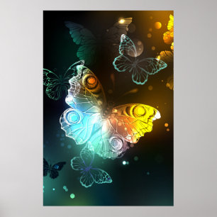 Affiche Papillon lumineux et papillons de nuit
