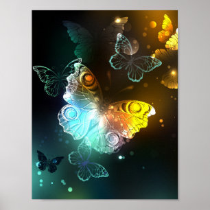 Affiche Papillon lumineux et papillons de nuit