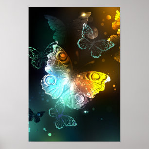 Affiche Papillon lumineux et papillons de nuit