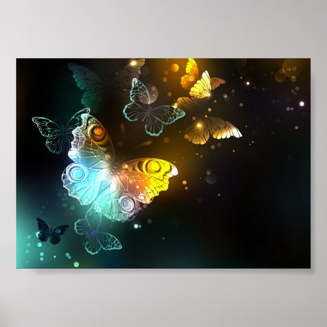 Affiche Papillon lumineux et papillons de nuit (Devant)