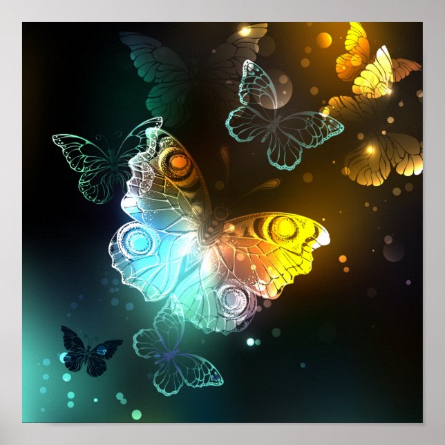 Affiche Papillon lumineux et papillons de nuit (Devant)