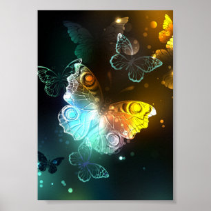 Affiche Papillon lumineux et papillons de nuit