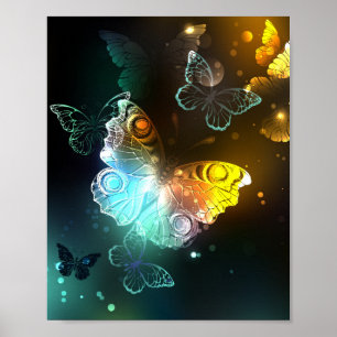 Affiche Papillon lumineux et papillons de nuit