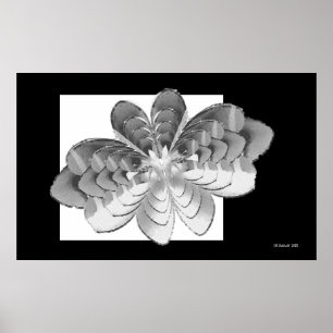 Affiche Papillon Luna