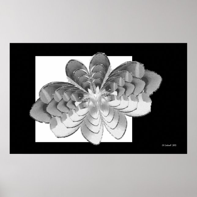 Affiche Papillon Luna (Devant)